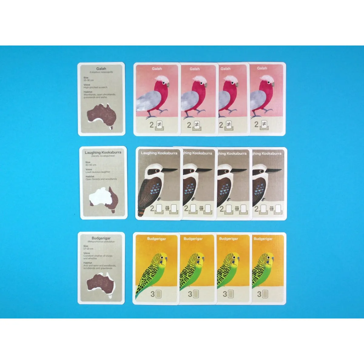 Busy Beaks