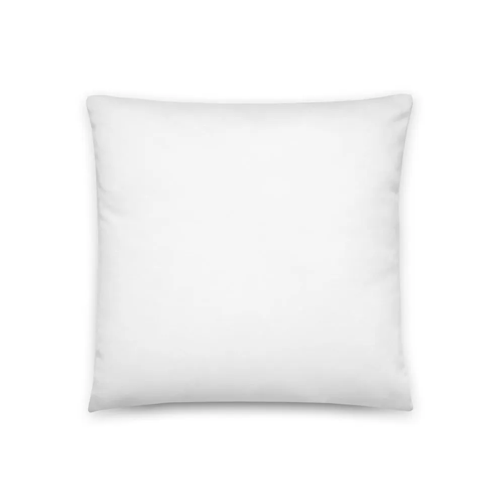 Cool Cat Pillow