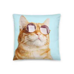 Cool Cat Pillow