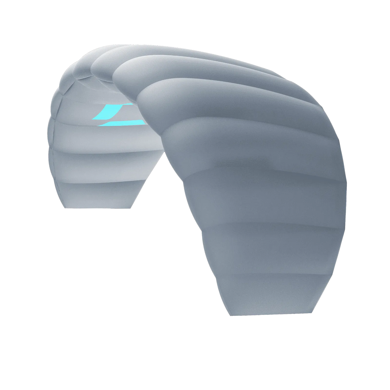 DUOTONE Trainer Lizard without leash 2024