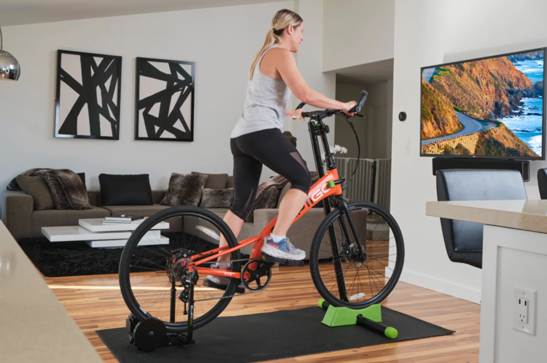 Elliptigo Fluid 365 Stationary Trainer
