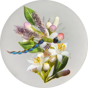 Gordon Smith 2020 Flamework Dragonfly over Lemon Blossoms Glass Art Paperweight