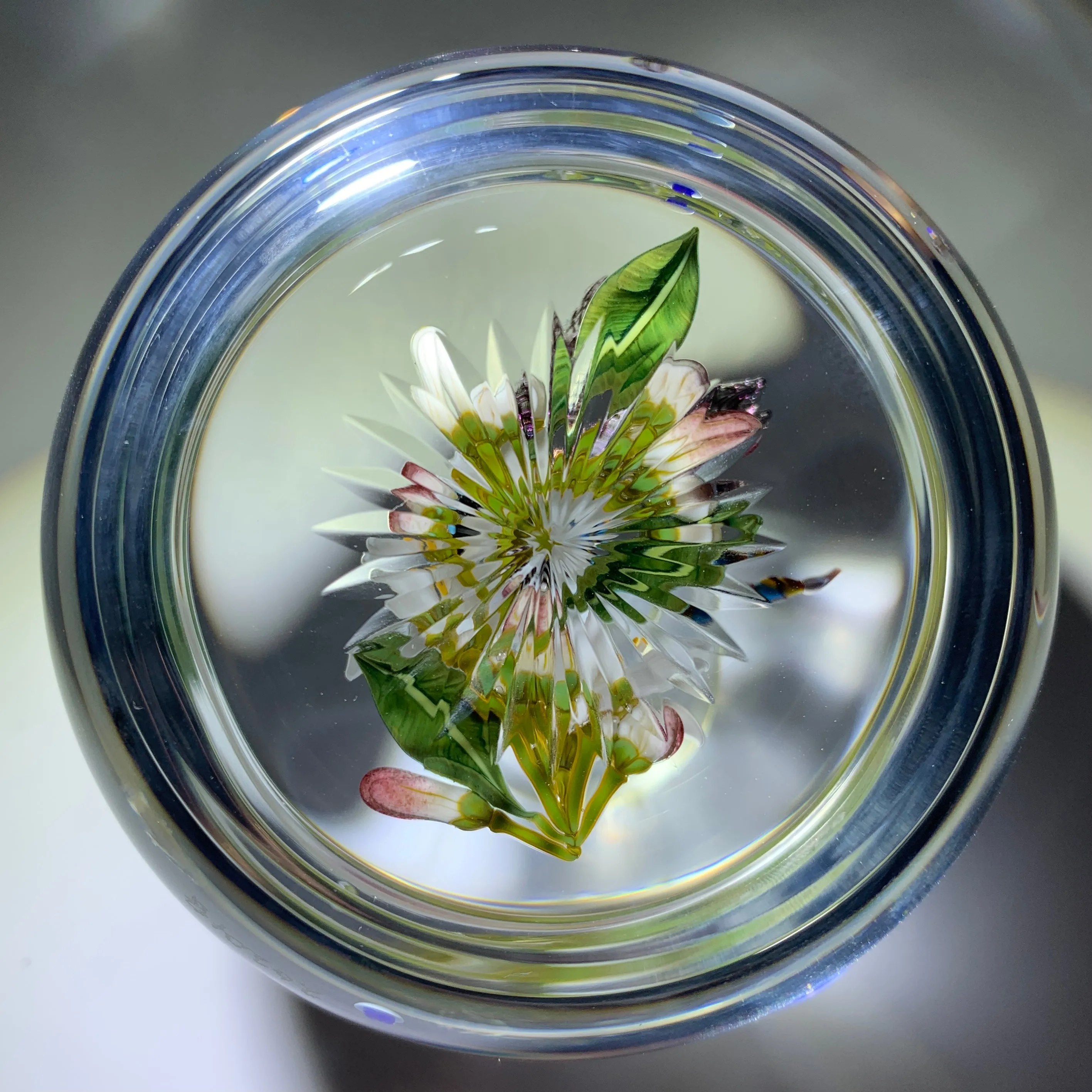 Gordon Smith 2020 Flamework Dragonfly over Lemon Blossoms Glass Art Paperweight