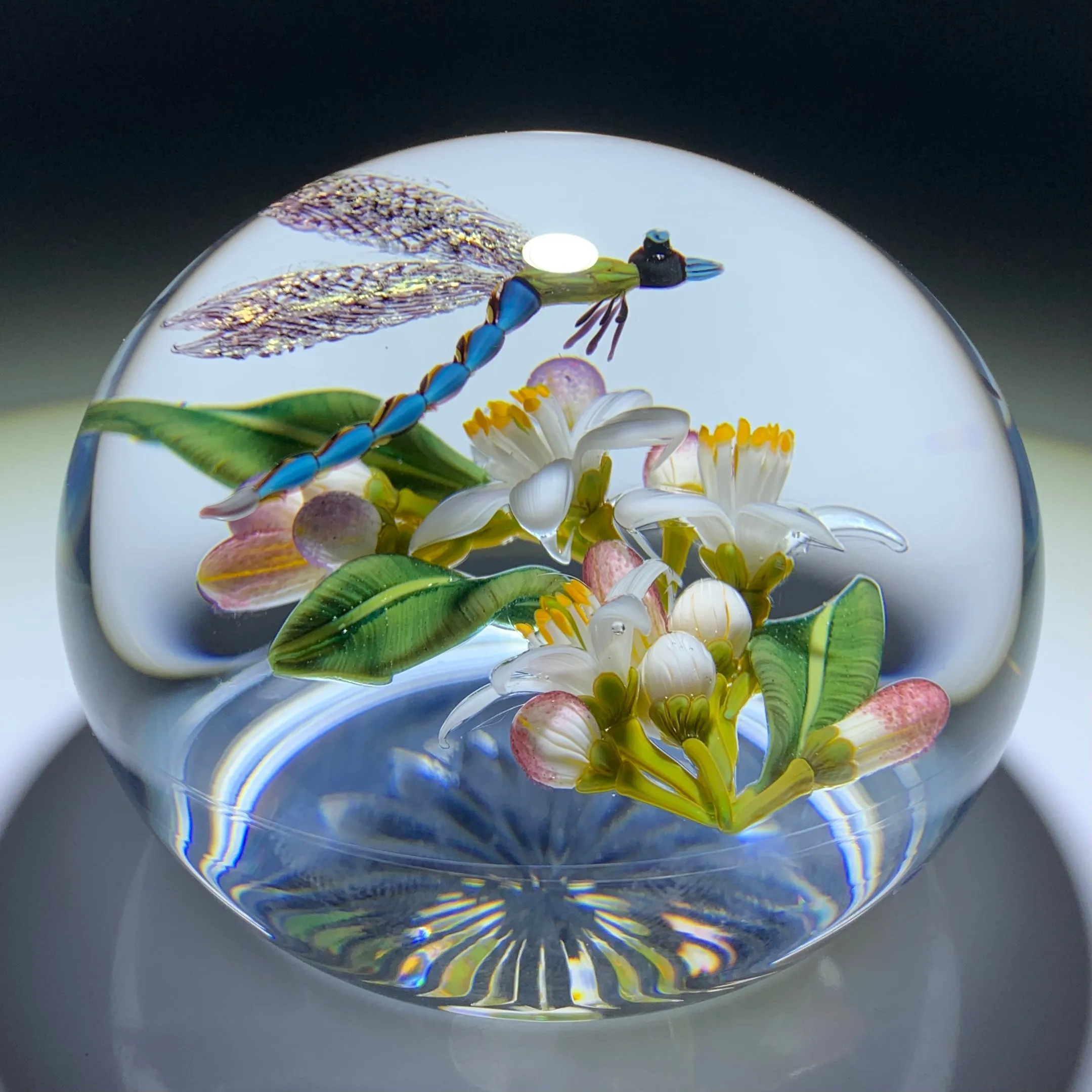 Gordon Smith 2020 Flamework Dragonfly over Lemon Blossoms Glass Art Paperweight