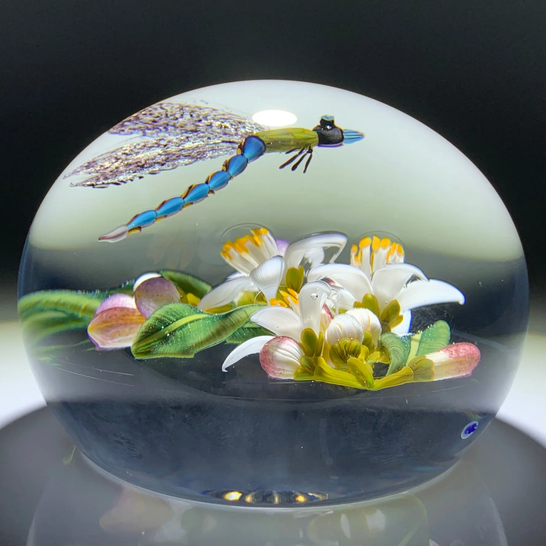 Gordon Smith 2020 Flamework Dragonfly over Lemon Blossoms Glass Art Paperweight