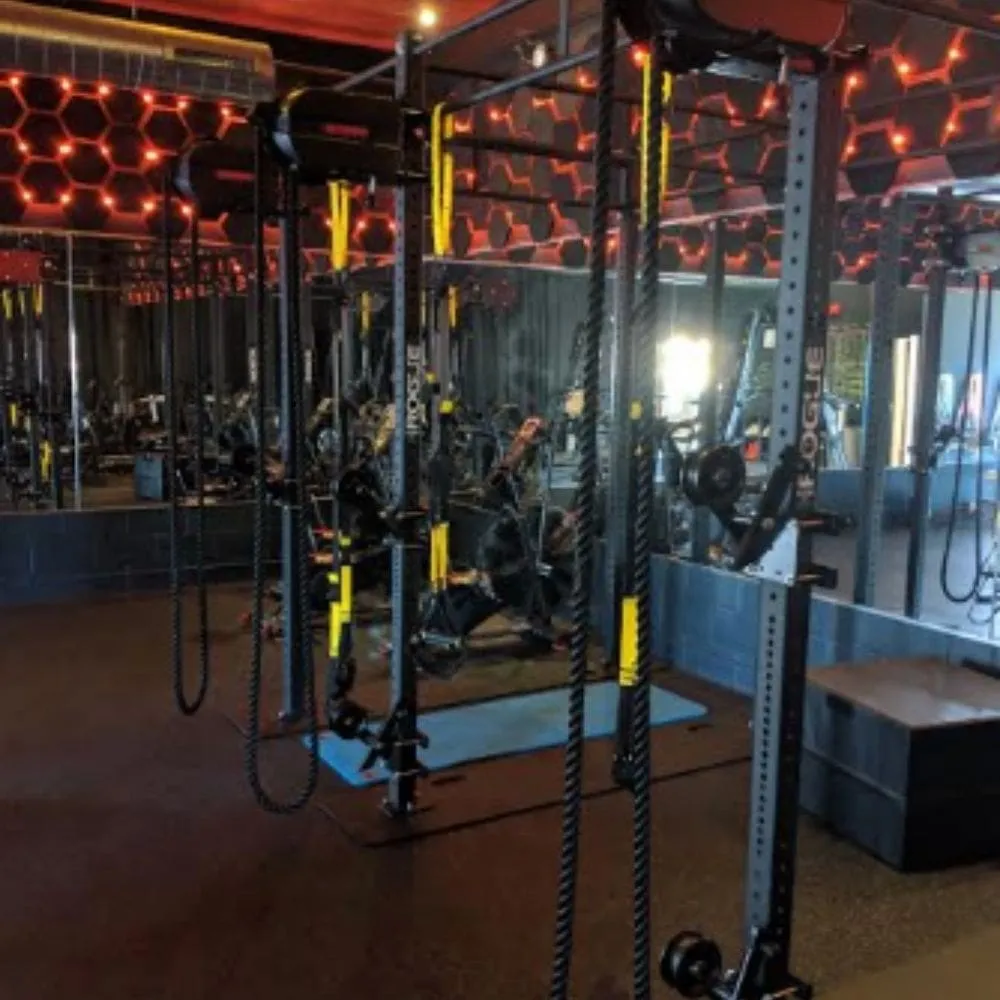 Marpo Kinetics X8 Mountable Rope Trainer
