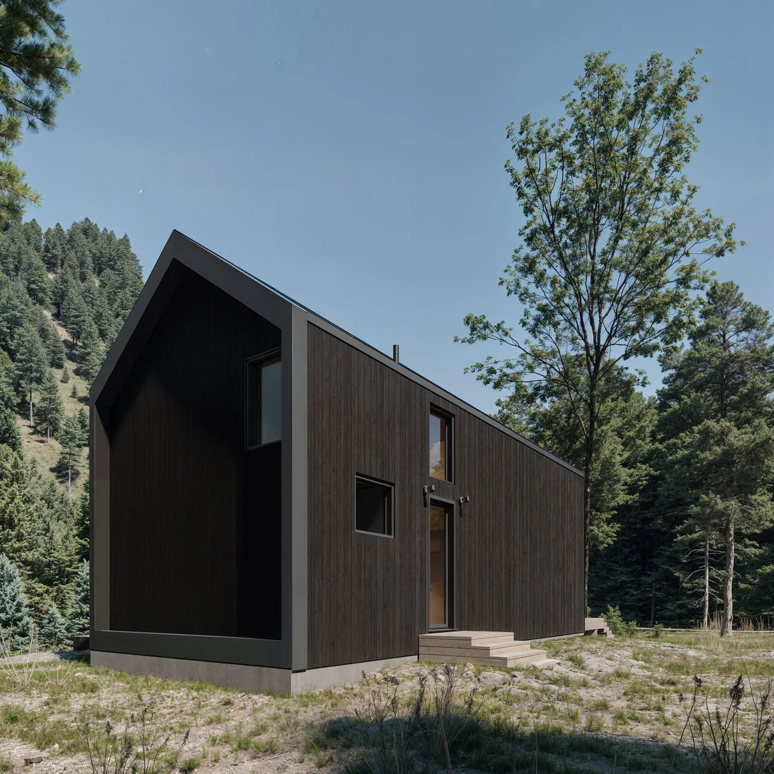 Modern Alpine 2025