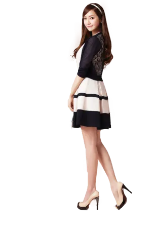 Modern Lady Skirt