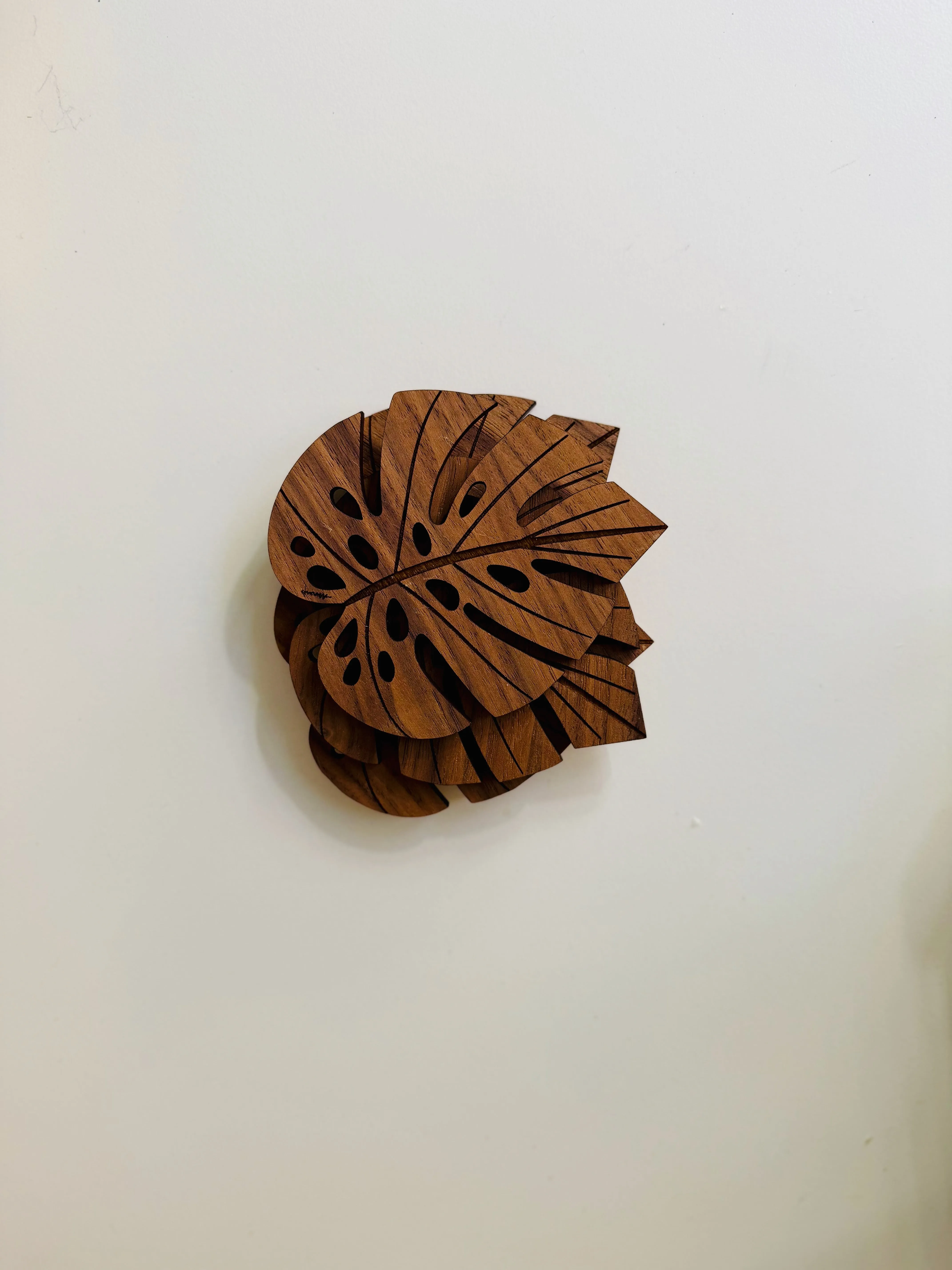 Modern Monstera Coasters