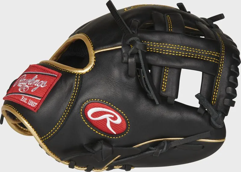 Rawlings R9 9.5" Baseball Training Glove R9TRBG