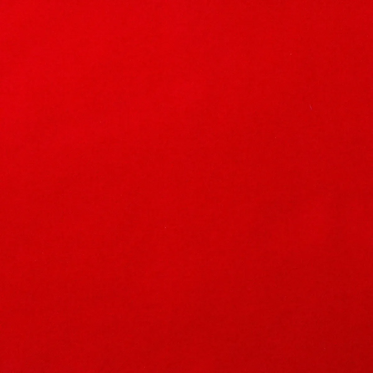 Scarlet Modern – PLAIN