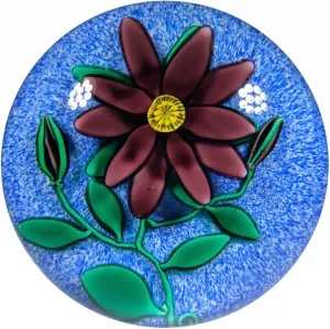 Signed Charles Kaziun III Art Glass Paperweight Lampwork Flower on Blue Jasper Ground