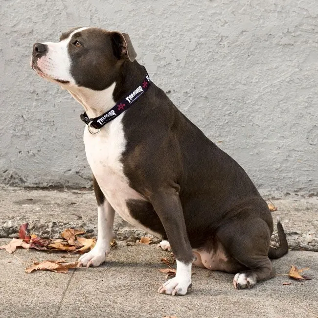 Thrasher - 15"-25" Dog Collar