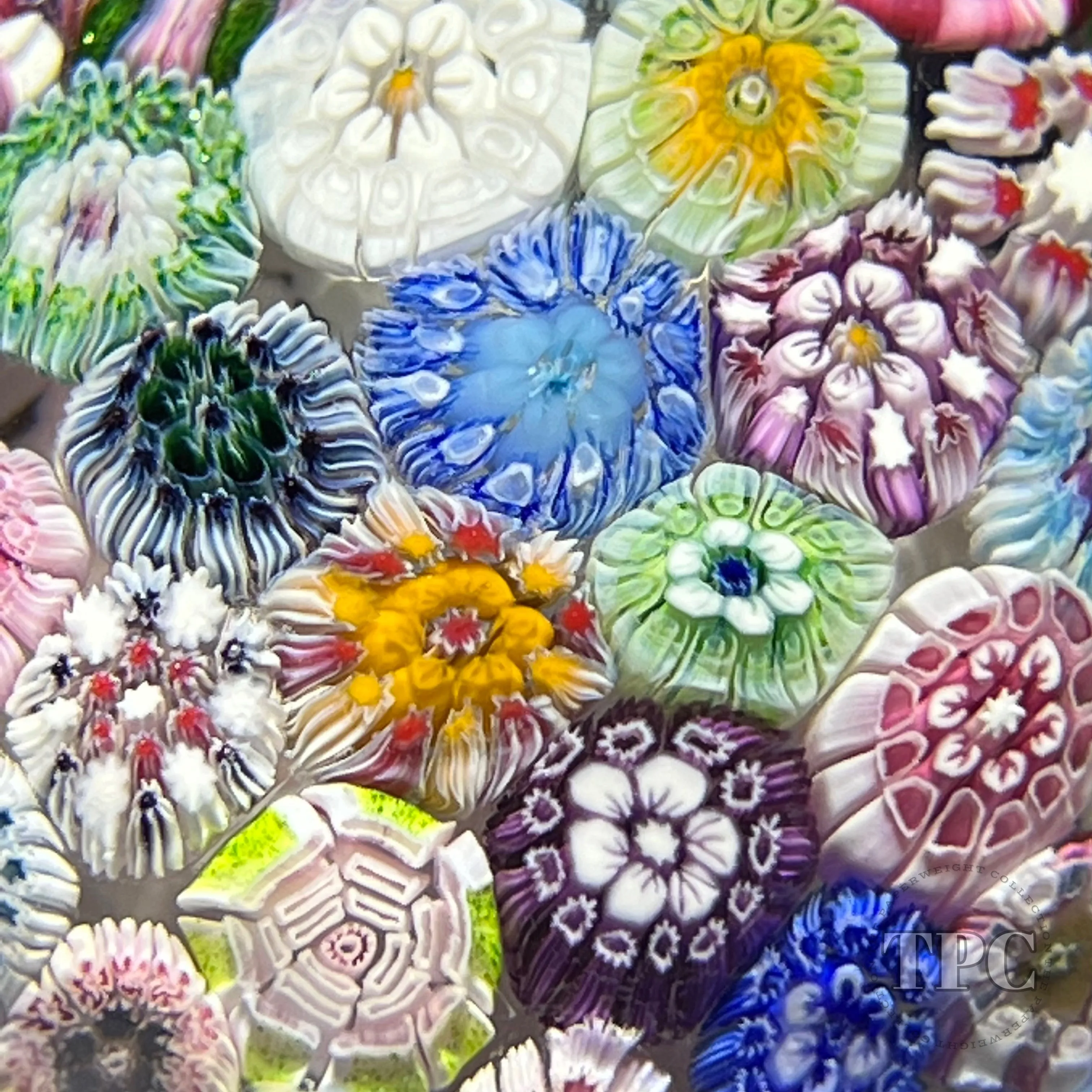 Tomasz Gondek 2022 Glass Art Paperweight Complex Closepack Cascading Millefiori with Rose Canes