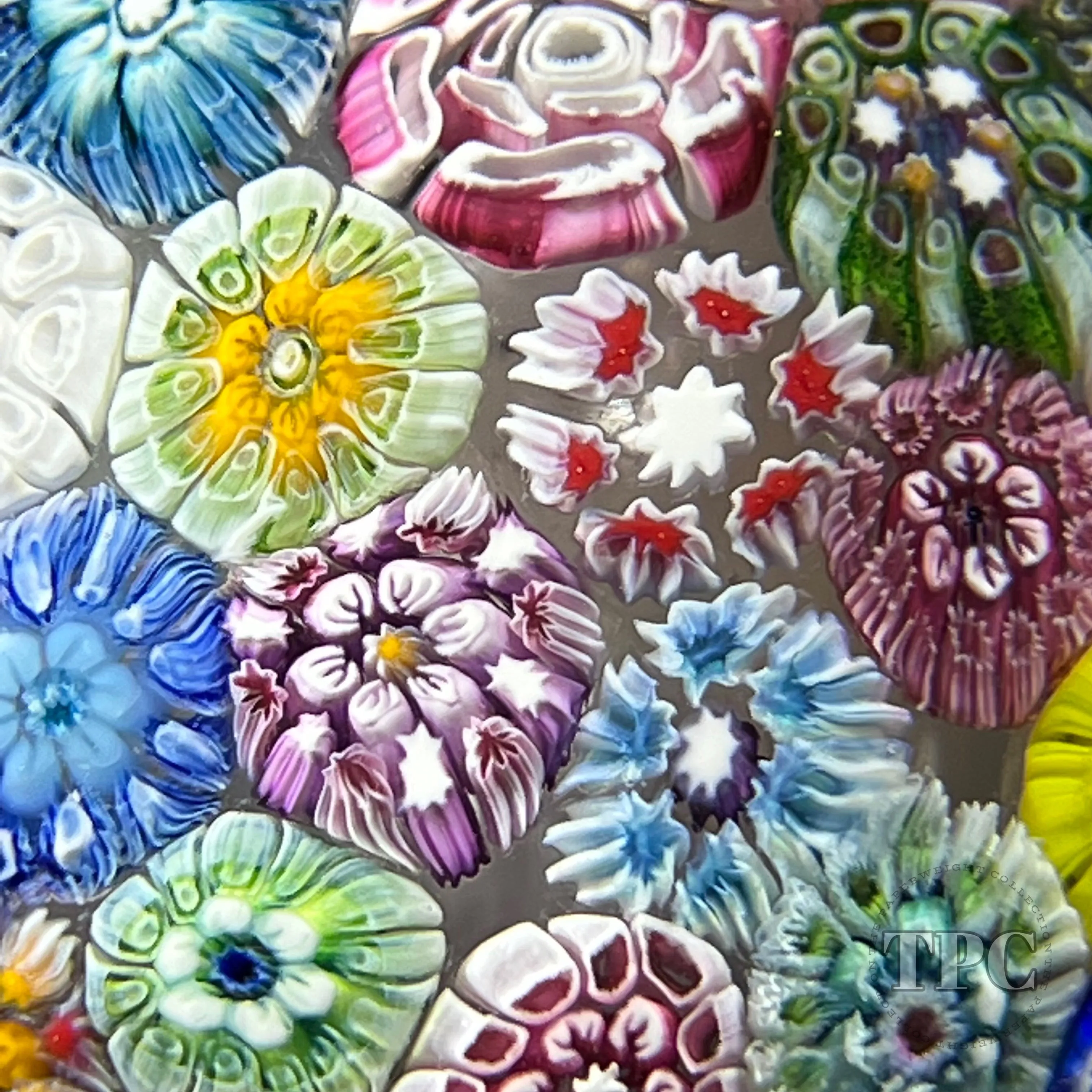 Tomasz Gondek 2022 Glass Art Paperweight Complex Closepack Cascading Millefiori with Rose Canes