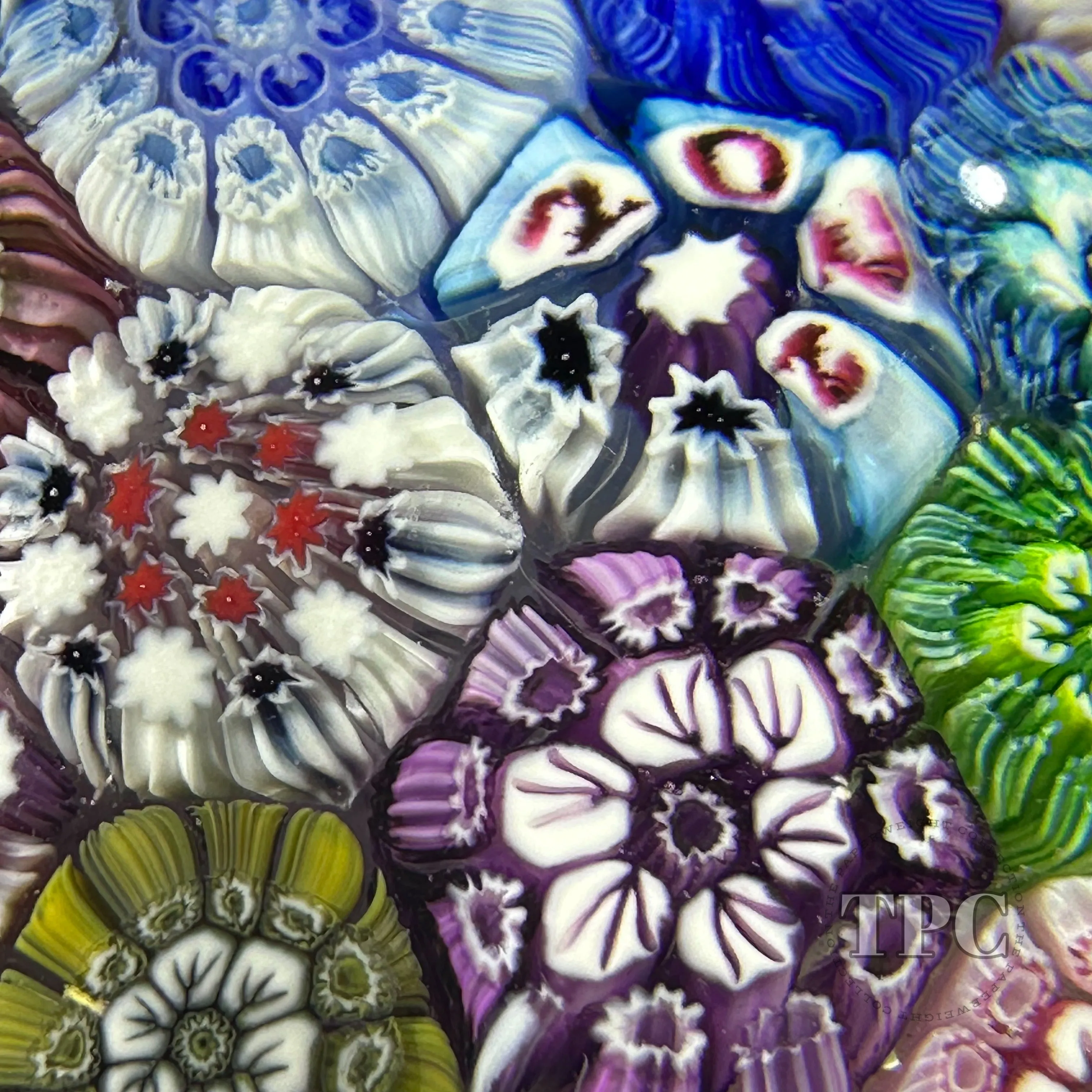 Tomasz Gondek 2022 Glass Art Paperweight Complex Closepack Cascading Millefiori with Roses